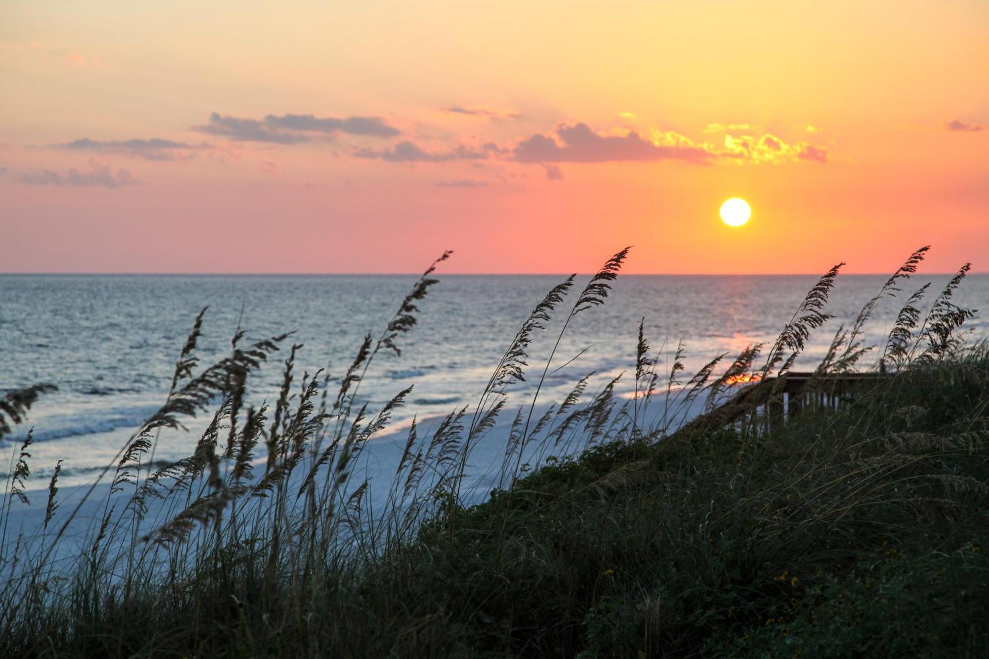 Wood Beach Retreat Santa Rosa Beach Exteriér fotografie